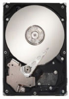 Seagate DiamondMax 21 250GB SATA 3Gb/s (STM3250820AS)